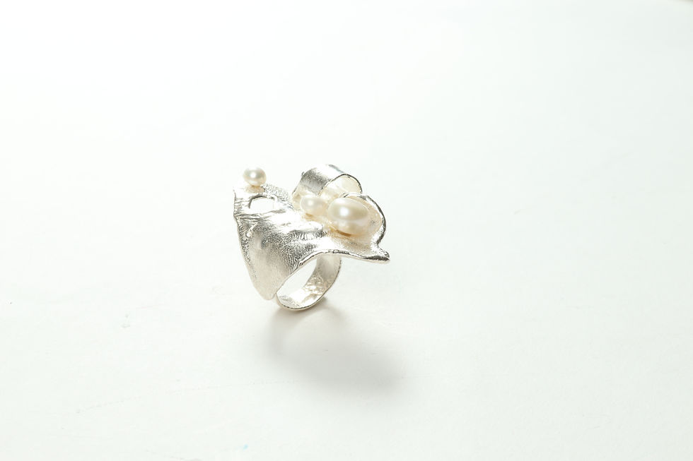 Miniatura: Anel Erin