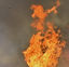 Brushfire.jpg