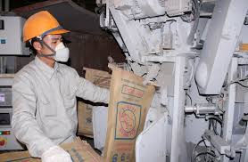 nỗi lo giá xi măng cao hơn 50000 so với cung kỳ