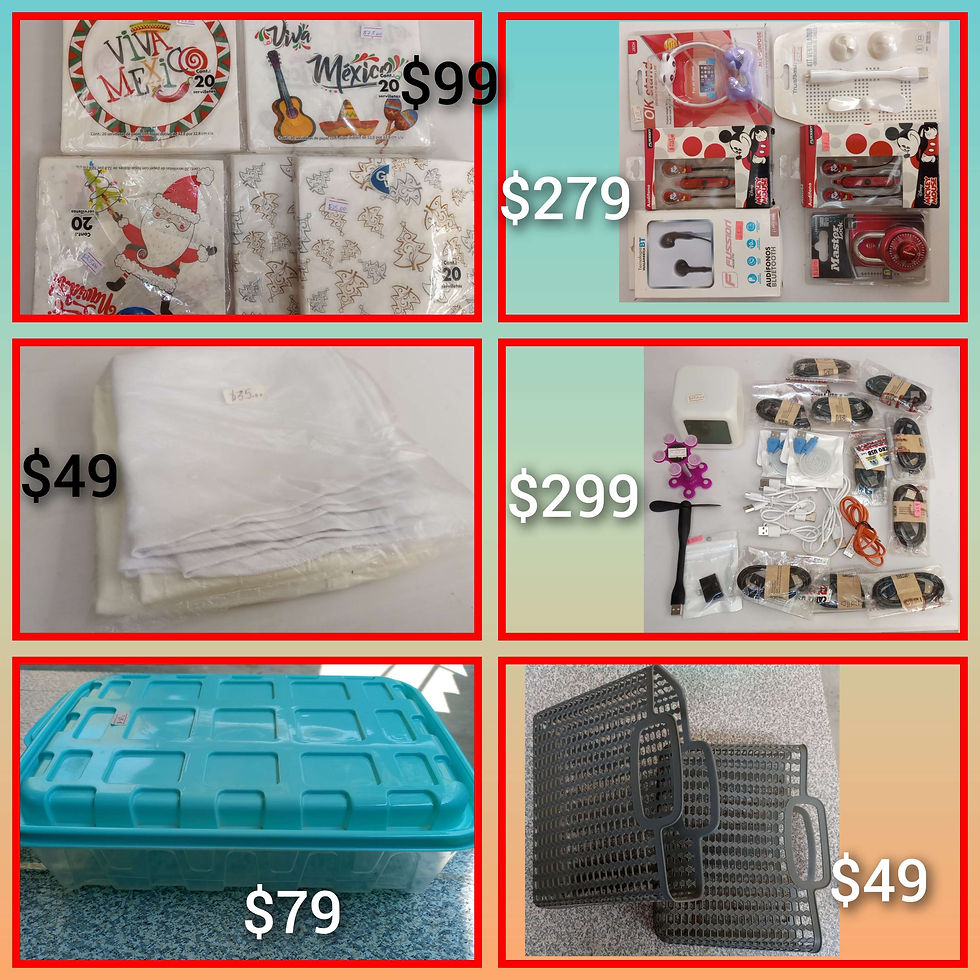 Miniatura: Varios artículos 