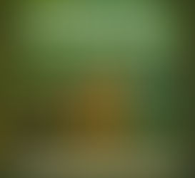 Critique d’album : “Transhumanity” par Andrea Pizzo and The Purple Mice