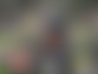 Critique d’album : “God of the Dead” par Rosetta West