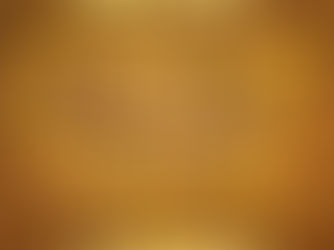 Critique de « Not My America » par OpCritical