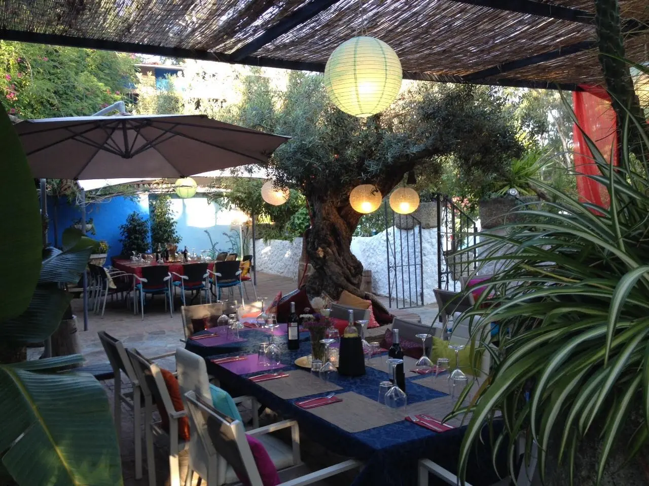 la-finca-thai-fusion.webp