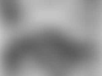 Dos Rugidos ao Diamante