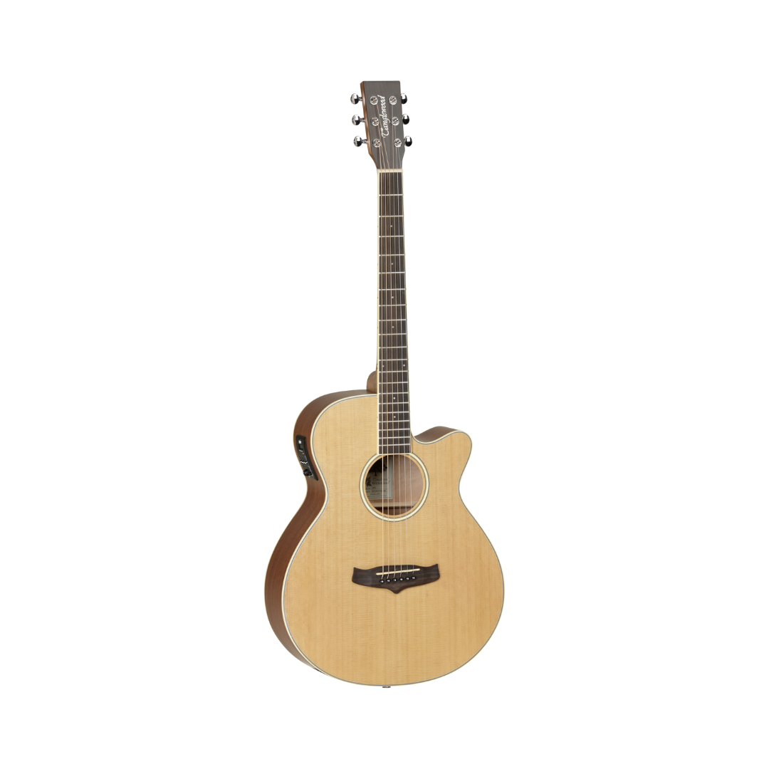 Tanglewood Winterleaf TW9 NS