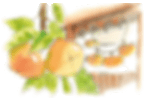 たわわに実った柿