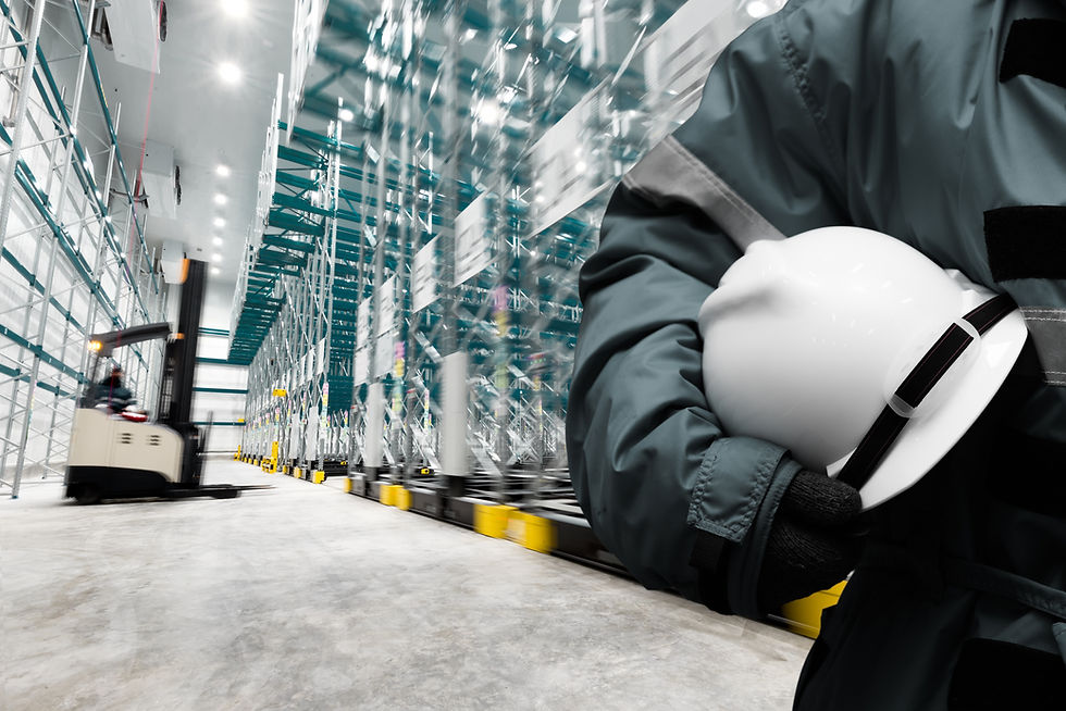 Cold Chain Industry Storage, Intralogistics, Daifuku