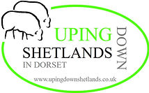 website logo.jpg