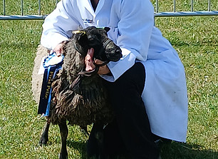 20260521_145507_edited_edited.jpg