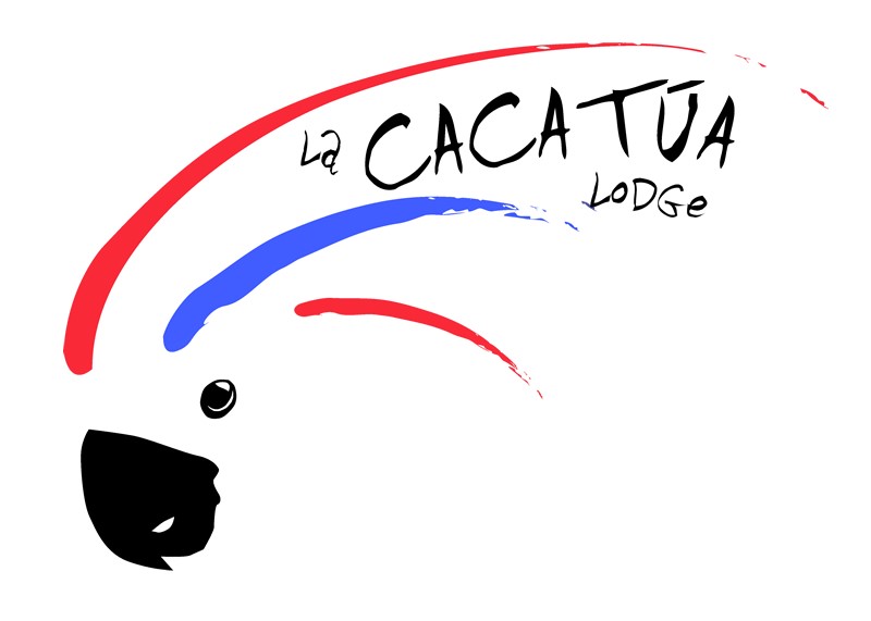 La Cacatua Lodge in Uvita, Costa Rica