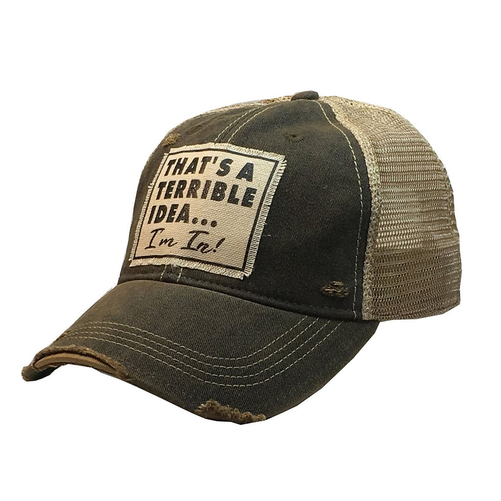 That's A Terrible Idea...I'm In!  Distressed Baseball Cap