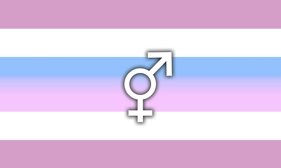 cada personaje de MLP es una bandera LGBT+?