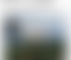 January 2.0 2026- Guided vs. Independent Travel