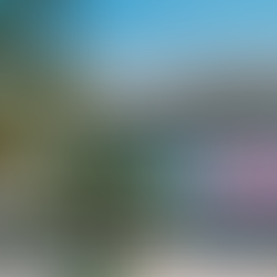 FIFA World Cup 2026 in Miami: Complete Guide to Fan Festivals, Watch Parties and Events