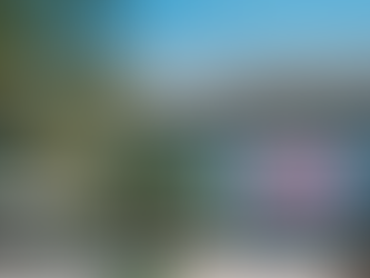 FIFA World Cup 2026 in Miami: Complete Guide to Fan Festivals, Watch Parties and Events