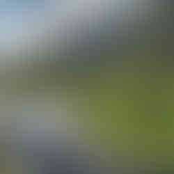 The next you see the wind chop on the water