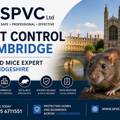 Pest Control Cambridge | Rat and Mice Expert Cambridgeshire