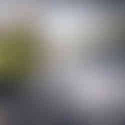 Solar panel cleaning Hertfordshire