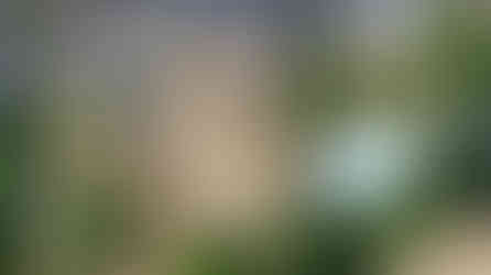 Swimming Pool And Full Garden Design In Essex