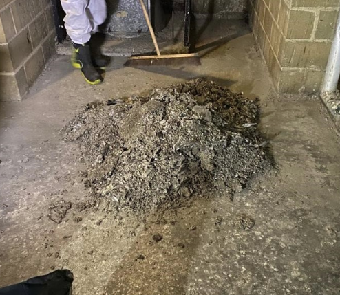 Pigeon Guano Removal Baldock Hertfordshire