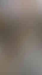 Pigeon Guano Removal Hertfordshire