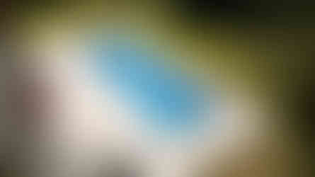 Swimming Pool And Full Garden Design In Essex