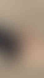 Doggy Daycare Waltham Forest