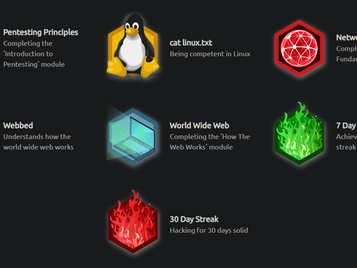 Bridging the Gap with TryHackMe