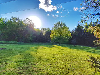 Courtyard View.jpeg