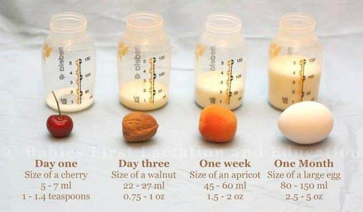 Newborn stomach. How much should a newborn eat. Breastfeeding newborn. Colostrum. Breastmilk
