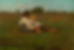 boys-in-a-pasture.jpg