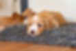 AdobeStock_523358329.jpeg