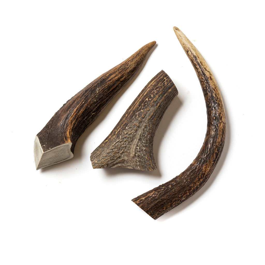 Antlers - Small - each