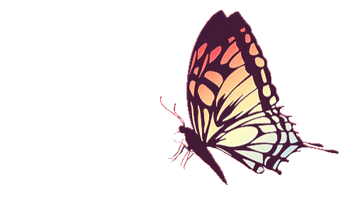 Trusting and valuing Self