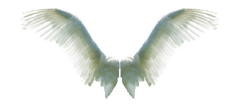 discovering who you really are (and it's not as you've been told)
