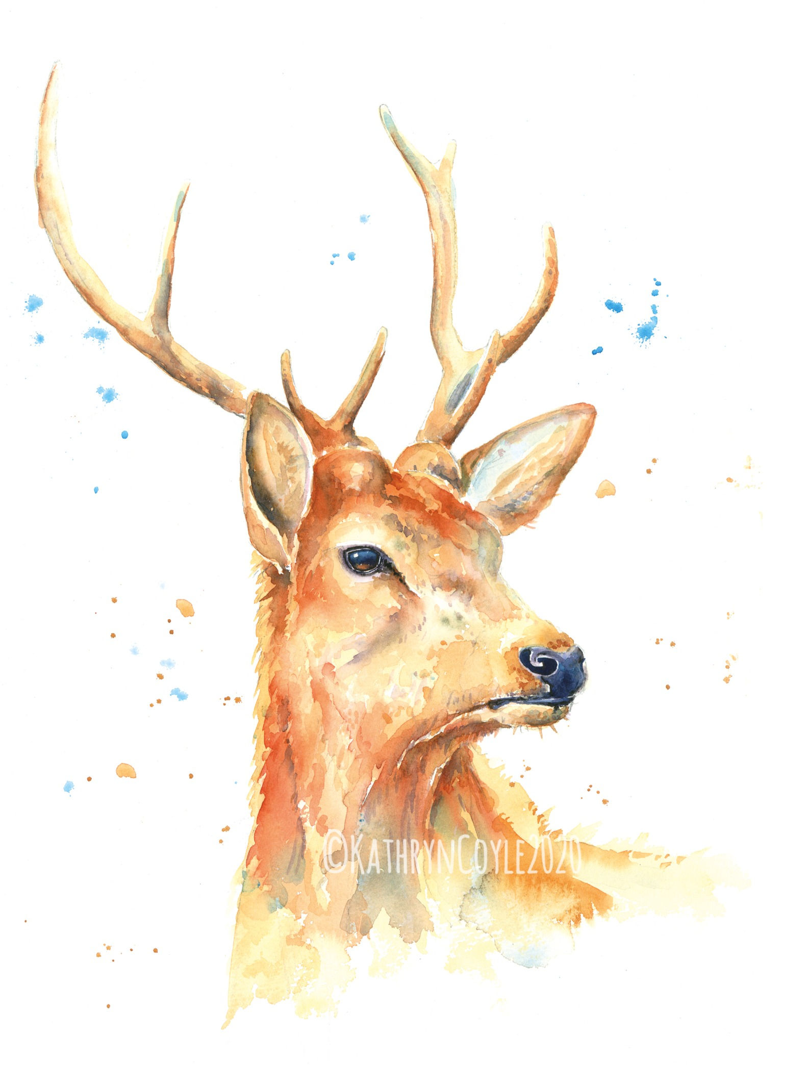 Stag - Watercolour Print from watercolour painting