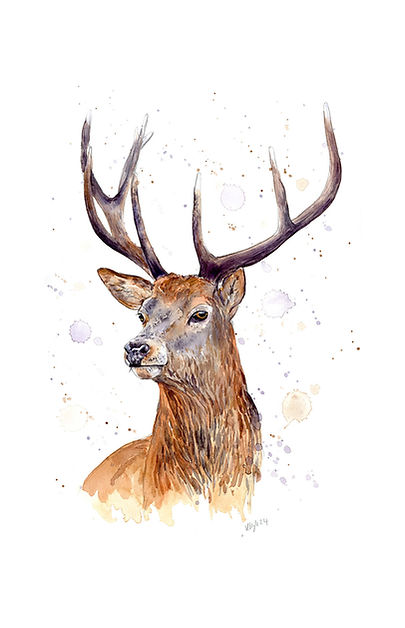 Watercolour stag painting