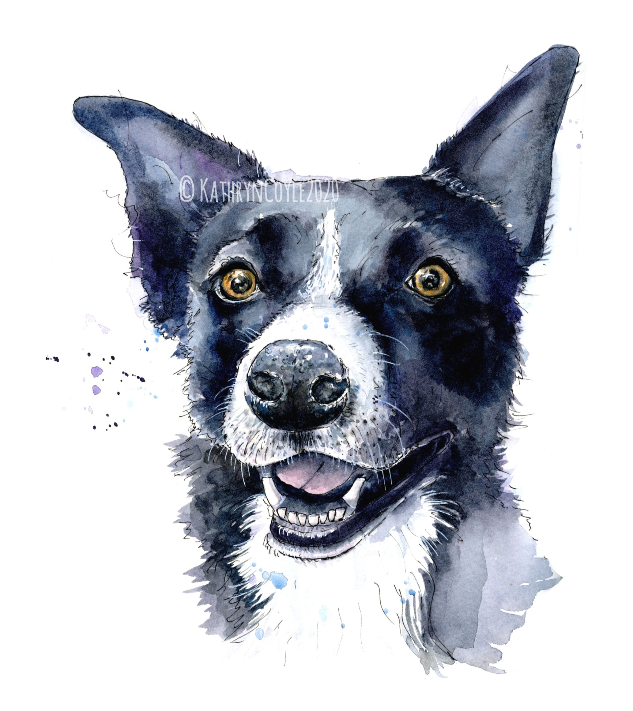Collie Print Sheep Dog Watercolour