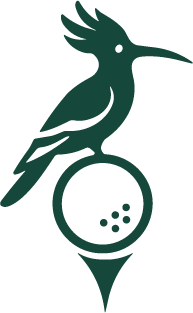 LOGO VERDE.png