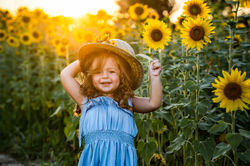 Summer Sunflower Field Child Photoshoot