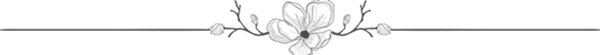 divider-big-footer.png