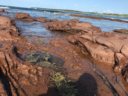 The Illawarra, Australia 2016