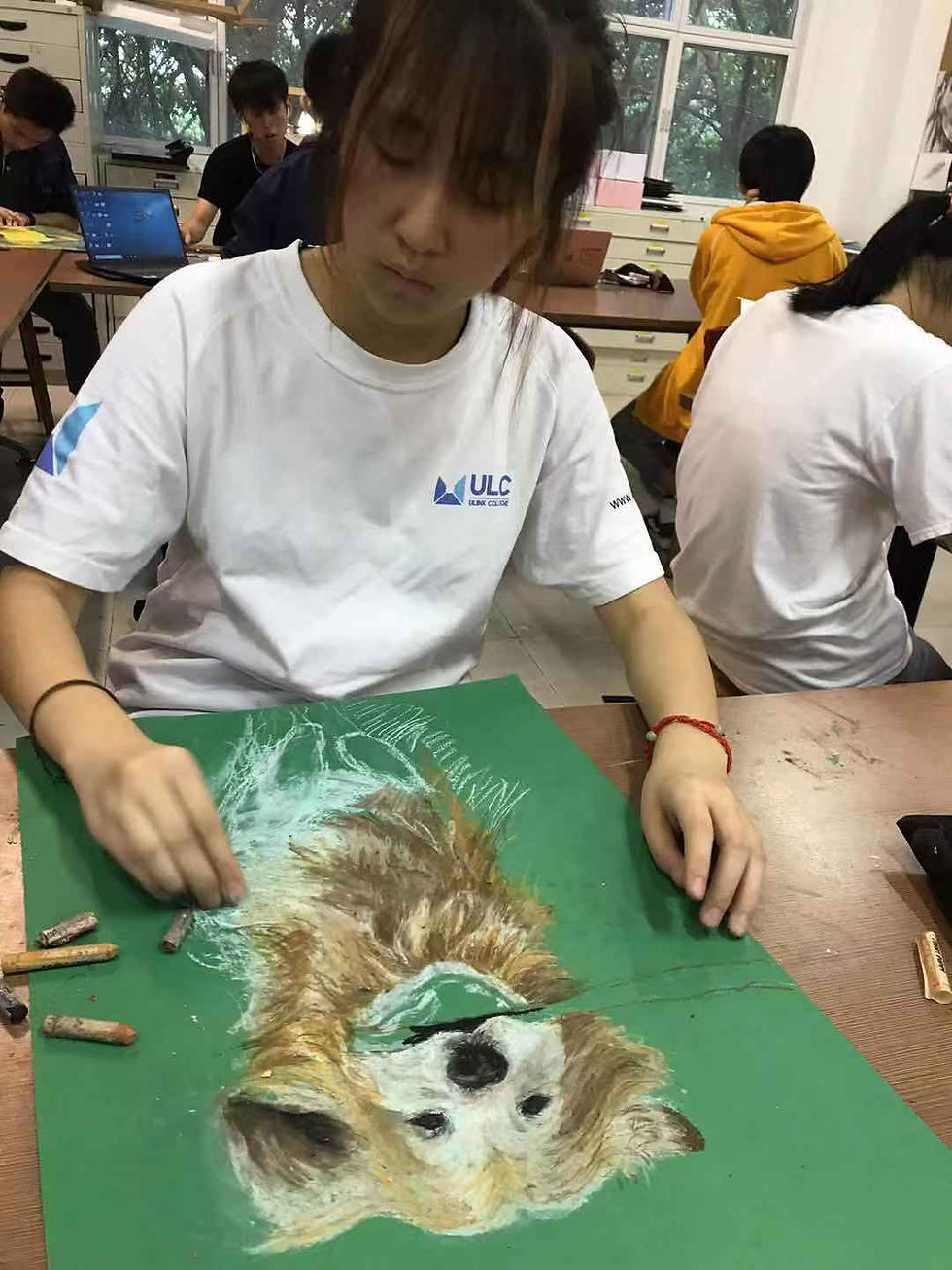 Yr 9 Oil pastel drawing, 2018