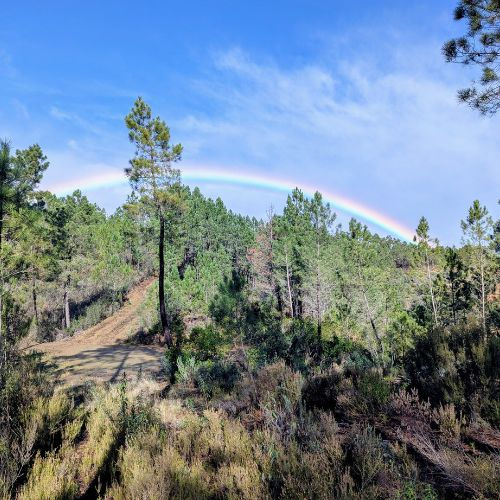 Foto: Focus op de opening - Regenbogen als geschenk.