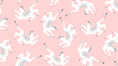 イラスト白猫