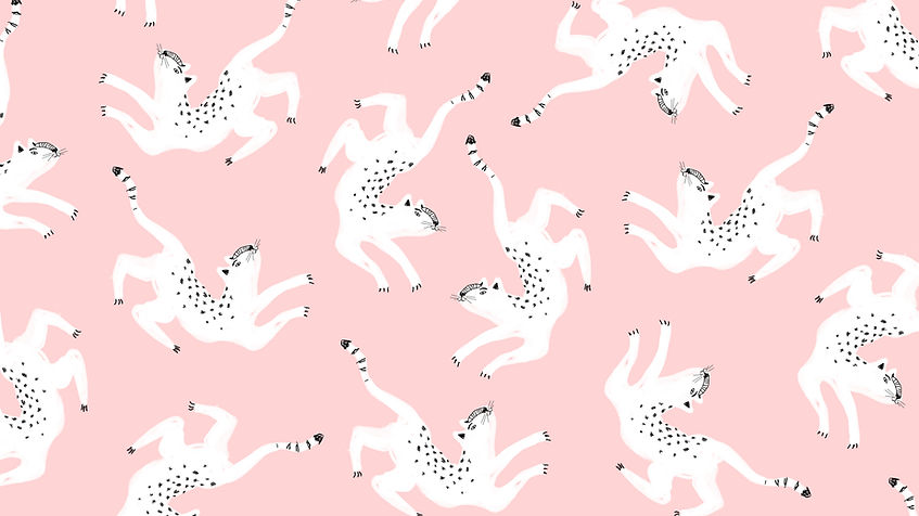 イラスト白猫
