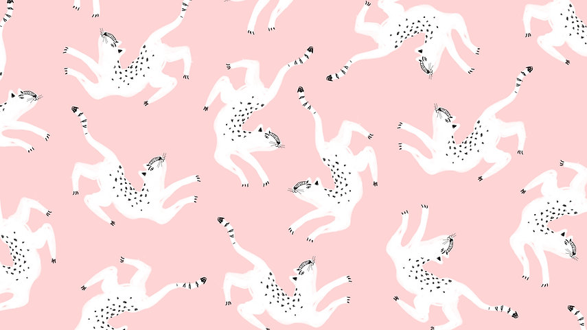 イラスト白猫