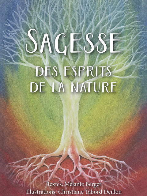 Boîte_Sagesse_visuel 2.jpg