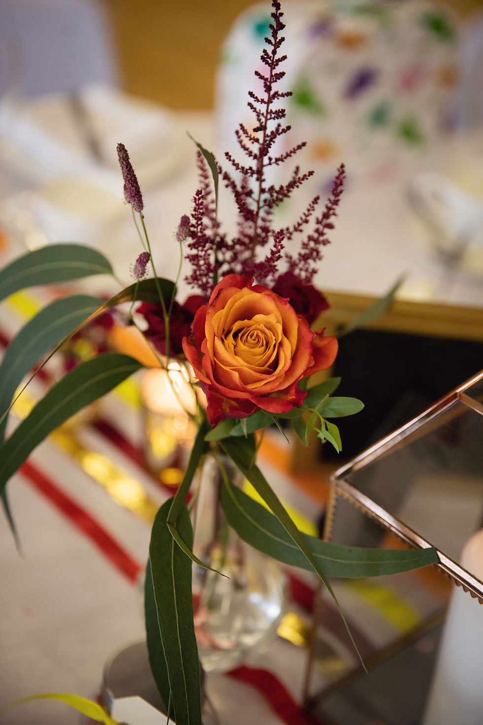 Close up photo of a red and orange rose with other burgundy flowers.
